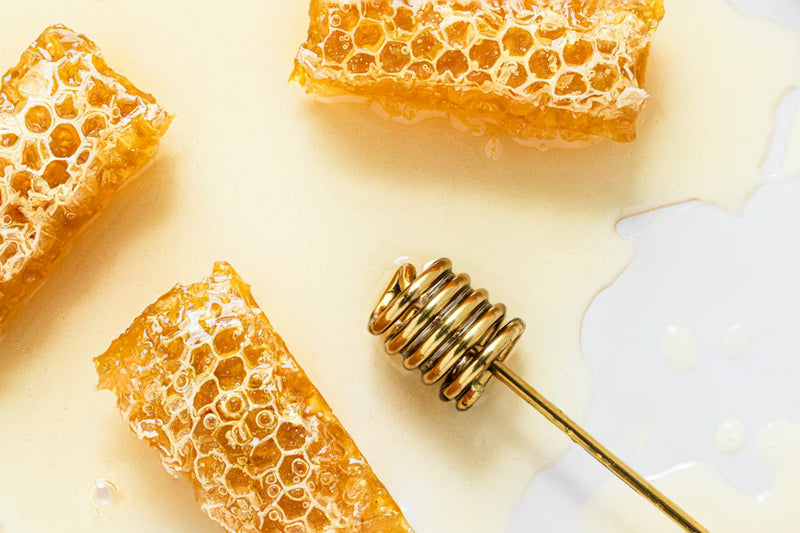 Manuka Honey vs Regular Honey: What's the Difference?